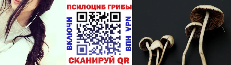 где можно купить наркотик  кракен зеркало  Псилоцибиновые грибы GOLDEN TEACHER  Туринск 